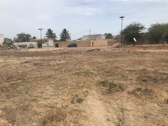 1832m² de terrain à vendre à Nianing : Un emplacement Stratégique de Premier Choix