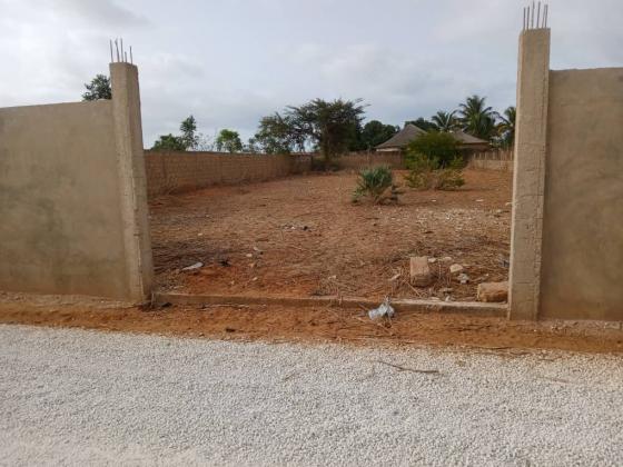 Opportunité Rare à Nguerigne : Terrain de 1200 m² Entièrement Clôturé