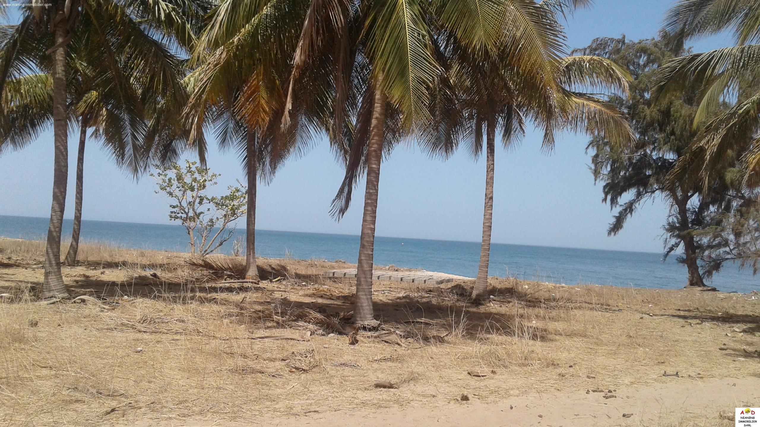Terrains à vendre à Pointe Sarène Nianing Immobilier